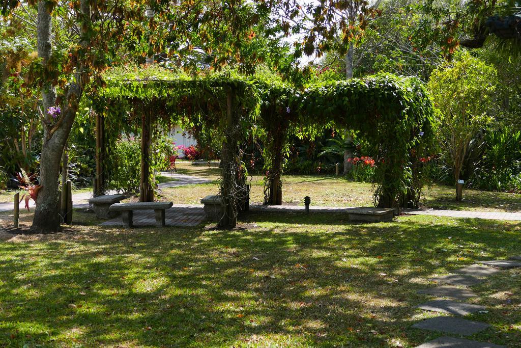 Hotel Bougainvillea San Jose Santo Domingo De Heredia Exterior foto